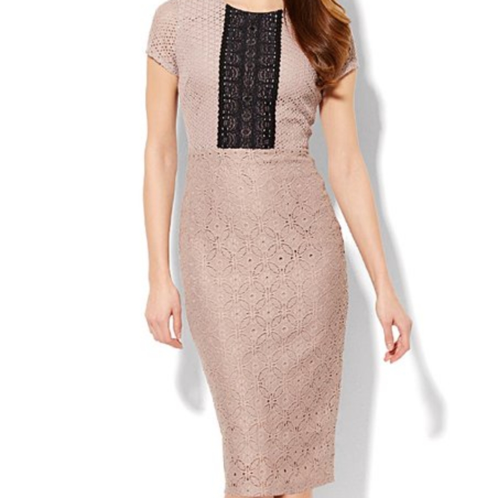 New York and Company Taupe Mixed Lace Sheath Dress